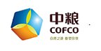 关于2026年星空online官方渠